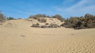 2023-GC-Dunas_Maspalomas-136.jpg